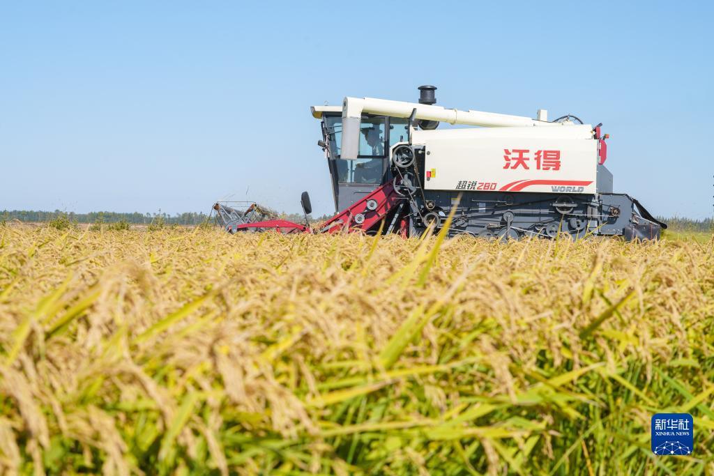 新游游戏厅